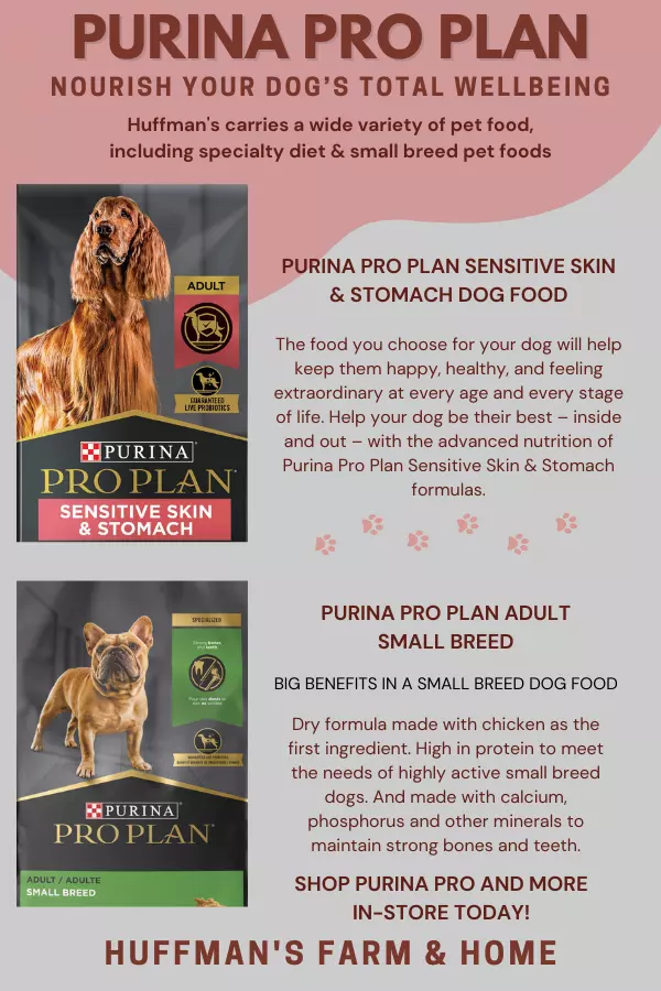 Purina Pro Plan Dog Food