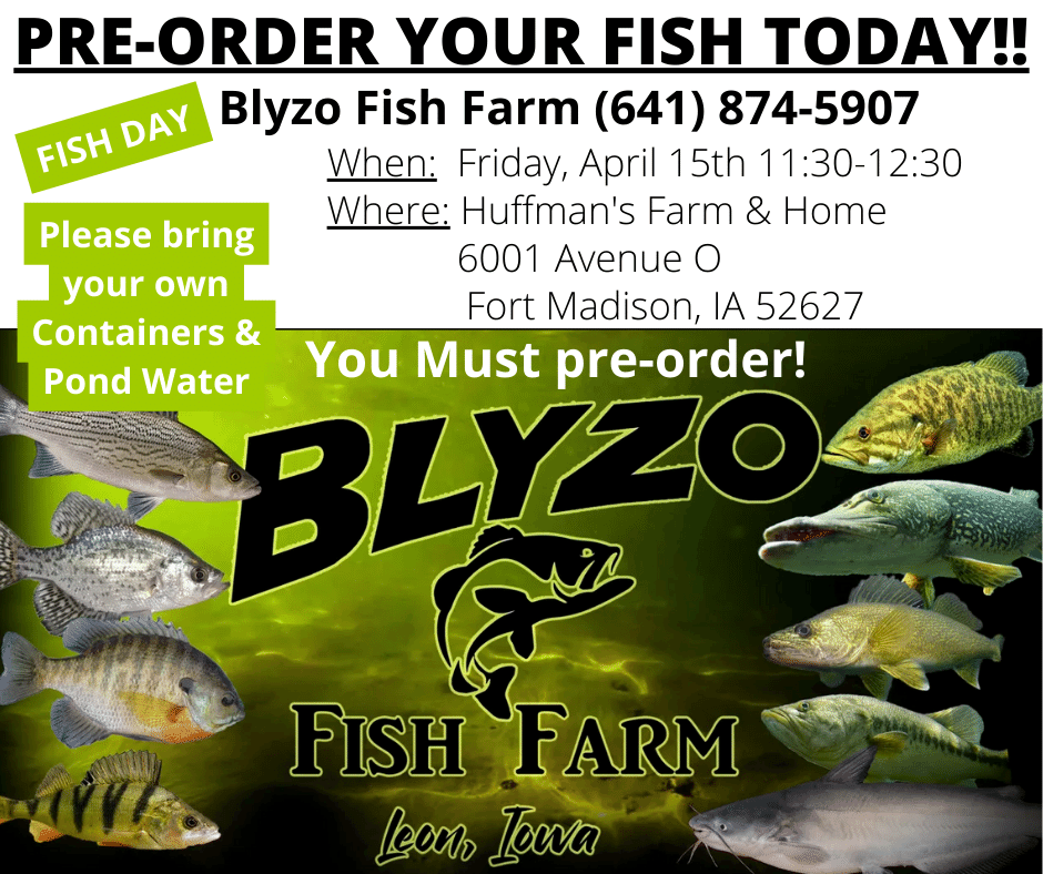 Blyzo Fish Order