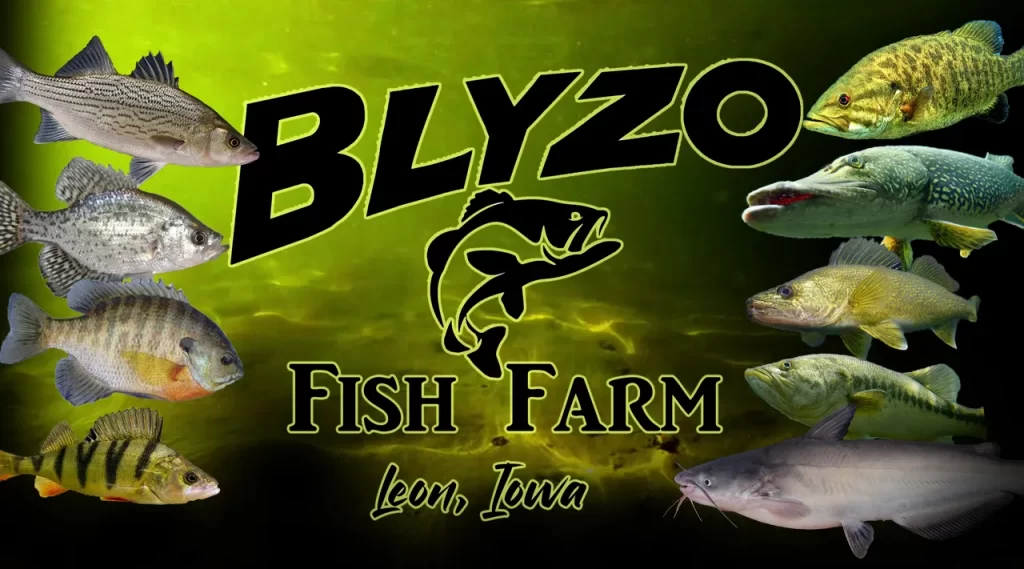 Blyzo Fish