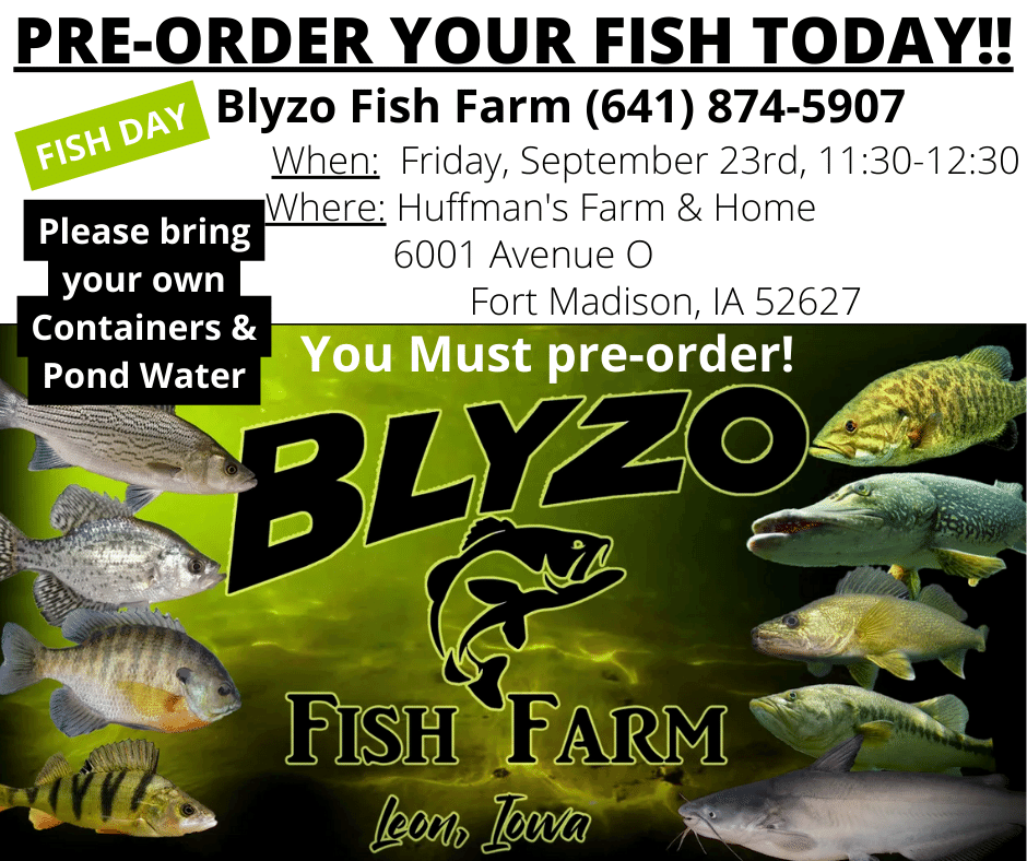 Pre-order your fish today! Order Now! - Huffman's