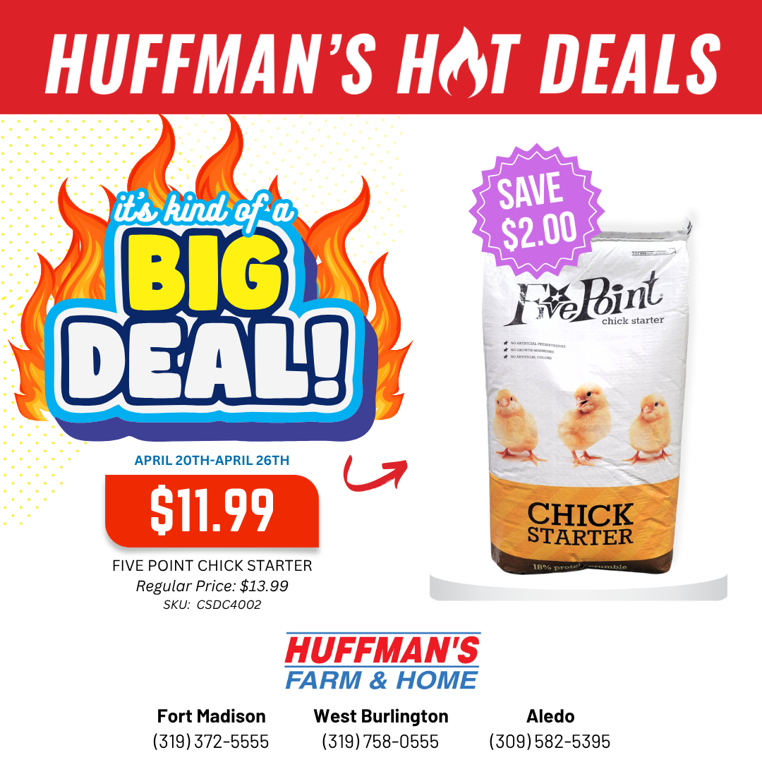 Huffman's Big Deal on Five Point Chick Starter
